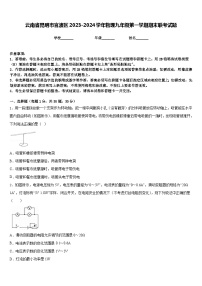 云南省昆明市官渡区2023-2024学年物理九年级第一学期期末联考试题含答案