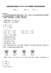 云南省玉溪市红塔区第一区2023-2024学年物理九上期末达标测试试题含答案