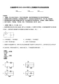 云南省腾冲市2023-2024学年九上物理期末学业质量监测试题含答案