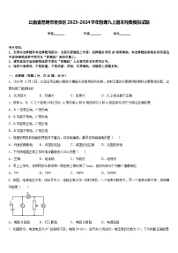 云南省昆明市呈贡区2023-2024学年物理九上期末经典模拟试题含答案