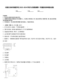 内蒙古赤峰市联盟学校2023-2024学年九年级物理第一学期期末联考模拟试题含答案