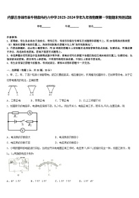 内蒙古赤峰市翁牛特旗乌丹六中学2023-2024学年九年级物理第一学期期末预测试题含答案