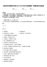 内蒙古鄂尔多斯康巴什新区2023-2024学年九年级物理第一学期期末复习检测试题含答案