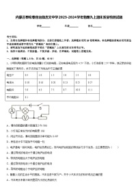 内蒙古鄂伦春自治旗吉文中学2023-2024学年物理九上期末质量检测试题含答案