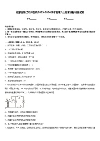 内蒙古通辽市开鲁县2023-2024学年物理九上期末达标检测试题含答案