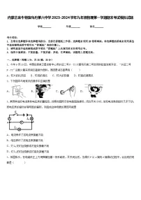 内蒙古翁牛特旗乌丹第六中学2023-2024学年九年级物理第一学期期末考试模拟试题含答案