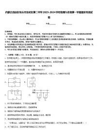 内蒙古自治区包头市东河区第二中学2023-2024学年物理九年级第一学期期末检测试题含答案