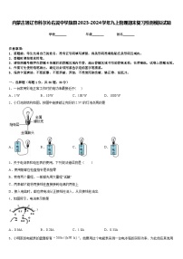 内蒙古通辽市科尔沁右翼中学旗县2023-2024学年九上物理期末复习检测模拟试题含答案