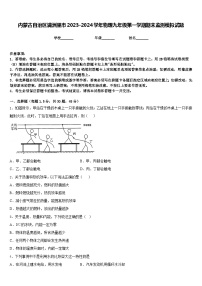 内蒙古自治区满洲里市2023-2024学年物理九年级第一学期期末监测模拟试题含答案