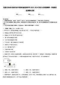 内蒙古自治区赤峰市翁牛特旗乌敦套海中学2023-2024学年九年级物理第一学期期末监测模拟试题含答案