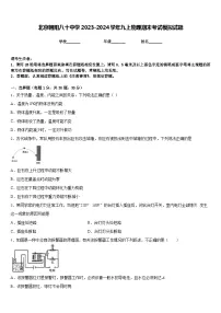 北京朝阳八十中学2023-2024学年九上物理期末考试模拟试题含答案