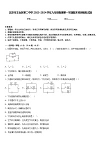 北京市丰台区第二中学2023-2024学年九年级物理第一学期期末检测模拟试题含答案