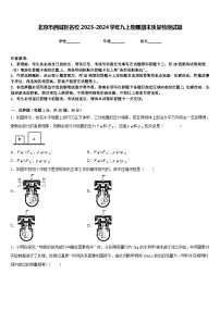 北京市西城区名校2023-2024学年九上物理期末质量检测试题含答案