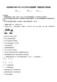 北京西城师大附中2023-2024学年九年级物理第一学期期末复习检测试题含答案