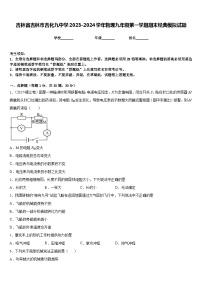 吉林省吉林市吉化九中学2023-2024学年物理九年级第一学期期末经典模拟试题含答案