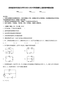 吉林省吉林市吉化九中学2023-2024学年物理九上期末联考模拟试题含答案