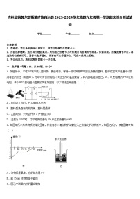 吉林省前郭尔罗斯蒙古族自治县2023-2024学年物理九年级第一学期期末综合测试试题含答案