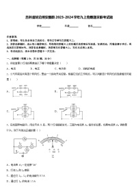 吉林省延边州安图县2023-2024学年九上物理期末联考试题含答案