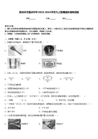 嘉峪关市重点中学2023-2024学年九上物理期末调研试题含答案