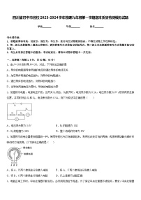 四川省巴中市名校2023-2024学年物理九年级第一学期期末质量检测模拟试题含答案