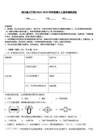 四川省大竹县2023-2024学年物理九上期末调研试题含答案