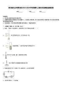 四川省乐山市犍为县2023-2024学年物理九上期末质量跟踪监视试题含答案