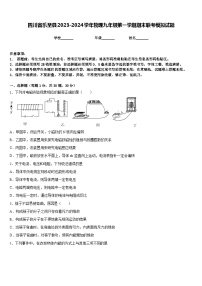 四川省乐至县2023-2024学年物理九年级第一学期期末联考模拟试题含答案