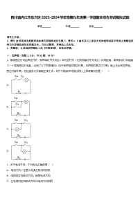 四川省内江市东兴区2023-2024学年物理九年级第一学期期末综合测试模拟试题含答案