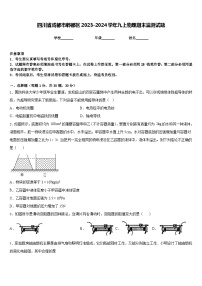 四川省成都市郫都区2023-2024学年九上物理期末监测试题含答案