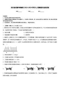 四川省成都市郫都区2023-2024学年九上物理期末监测试题含答案