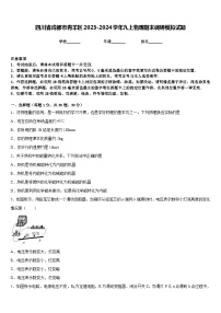 四川省成都市青羊区2023-2024学年九上物理期末调研模拟试题含答案