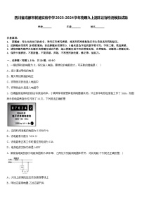 四川省成都市树德实验中学2023-2024学年物理九上期末达标检测模拟试题含答案