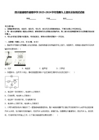 四川省德阳市德阳中学2023-2024学年物理九上期末达标测试试题含答案