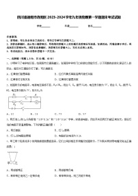 四川省德阳市旌阳区2023-2024学年九年级物理第一学期期末考试试题含答案