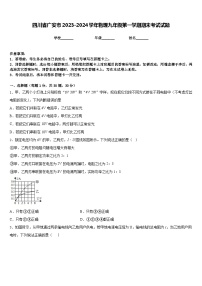 四川省广安市2023-2024学年物理九年级第一学期期末考试试题含答案
