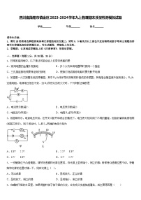 四川省简阳市镇金区2023-2024学年九上物理期末质量检测模拟试题含答案