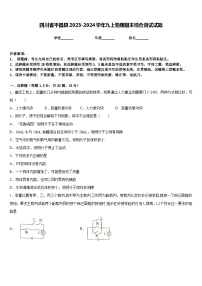 四川省平昌县2023-2024学年九上物理期末综合测试试题含答案