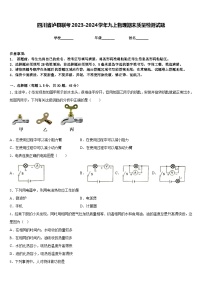 四川省泸县联考2023-2024学年九上物理期末质量检测试题含答案