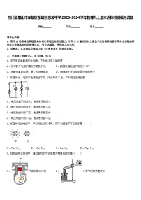 四川省眉山市东坡区东坡区东坡中学2023-2024学年物理九上期末达标检测模拟试题含答案