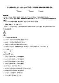 四川省攀枝花市名校2023-2024学年九上物理期末质量跟踪监视模拟试题含答案