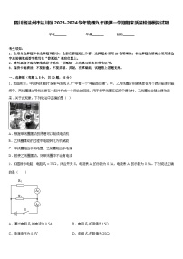 四川省达州市达川区2023-2024学年物理九年级第一学期期末质量检测模拟试题含答案