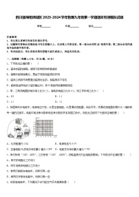 四川省绵阳涪城区2023-2024学年物理九年级第一学期期末检测模拟试题含答案