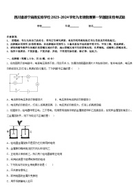 四川省遂宁高级实验学校2023-2024学年九年级物理第一学期期末统考试题含答案