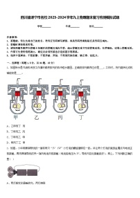 四川省遂宁市名校2023-2024学年九上物理期末复习检测模拟试题含答案