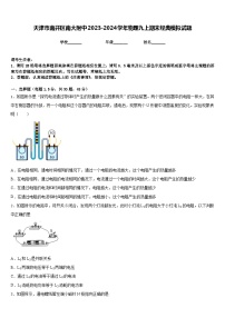 天津市南开区南大附中2023-2024学年物理九上期末经典模拟试题含答案