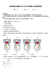 四川省自贡市富顺县2023-2024学年物理九上期末预测试题含答案