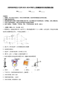 天津市和平区五十五中2023-2024学年九上物理期末综合测试模拟试题含答案