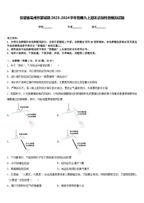 安徽省亳州市蒙城县2023-2024学年物理九上期末达标检测模拟试题含答案