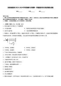安徽省临泉2023-2024学年物理九年级第一学期期末综合测试模拟试题含答案