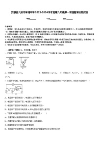 安徽省六安市皋城中学2023-2024学年物理九年级第一学期期末经典试题含答案